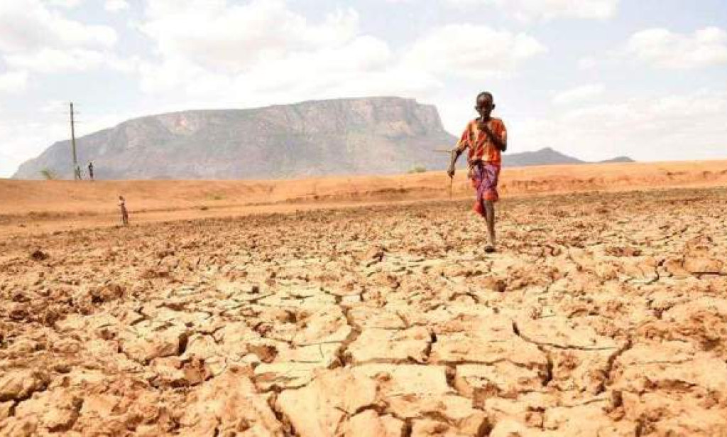 4 Kenyan counties at alert drought phase with risk of starvation