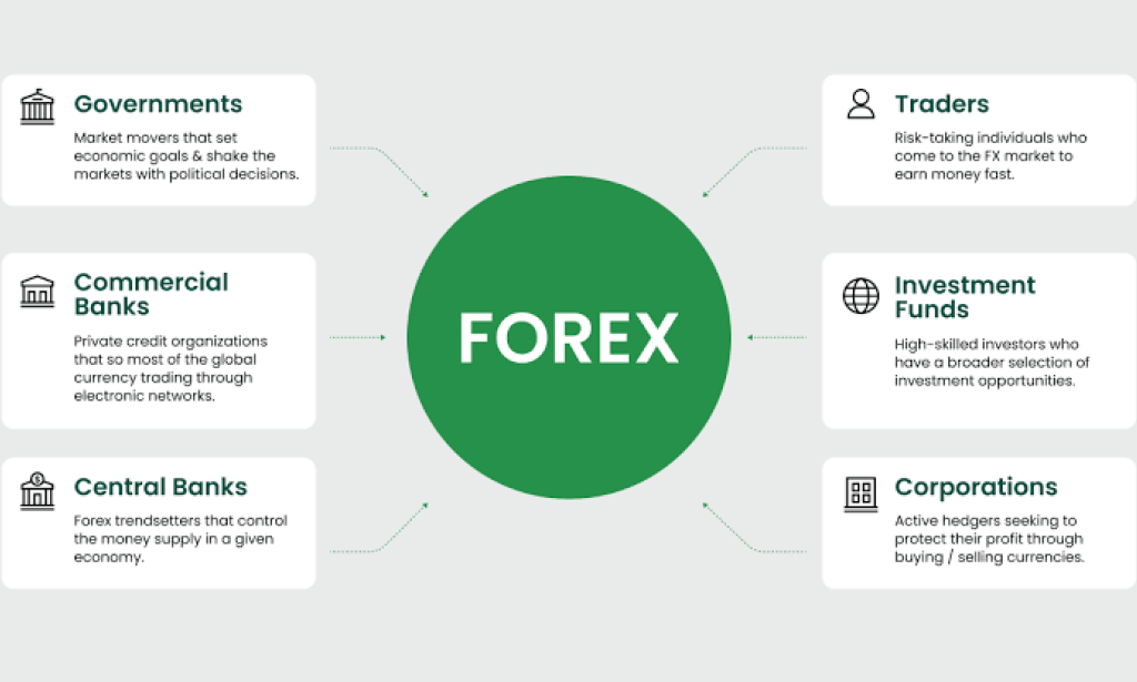 True Facts About Forex Trading