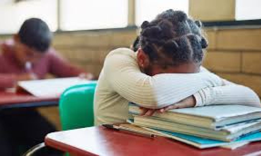 Why Are Students Becoming Indisciplined?