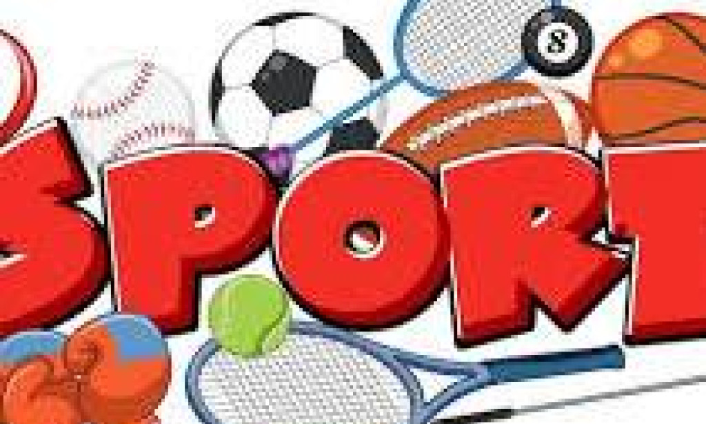 Universal Language of Sports
