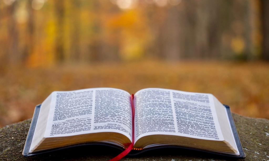 The Bible News: A Reflection on Faith in Today's World